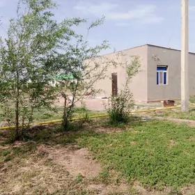 Mary welaÿat Oguzhan