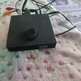 Z10