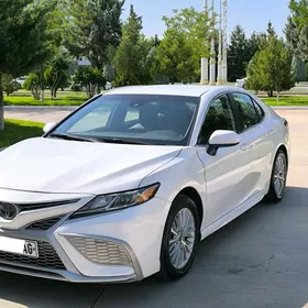 Toyota Camry 2019