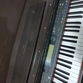 Yamaha cvp69