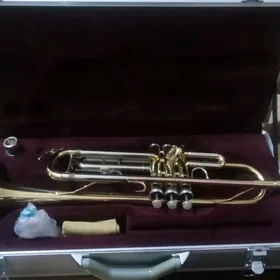 truba
