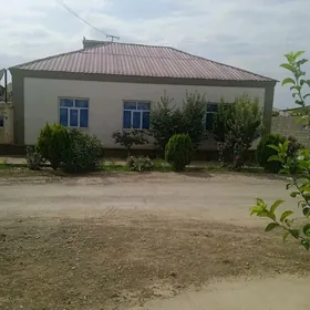 Gokdepe jay