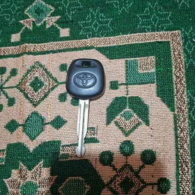acar