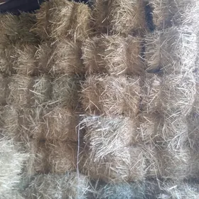 Saman mal üçin