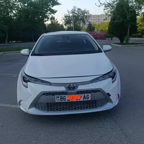 Toyota Corolla 2021
