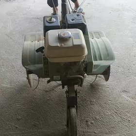 ýer surýan