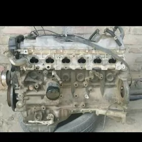 mark mator 2.5 vvt