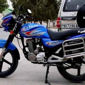 Fekon FK200-14G 2015