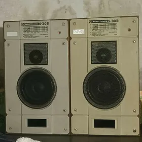 Dinamik S30 Russia
