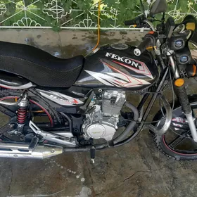 Fekon FK150-8G 2020