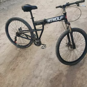 Welik 26 lyk