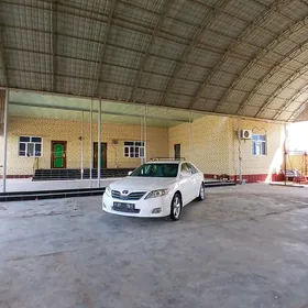 Toyota Camry 2010