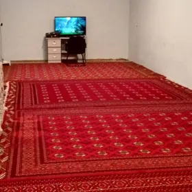 Çoganly 12 sot. Eýesinden