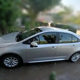 Toyota Corolla 2021