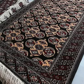 haly bàşwelaÿat