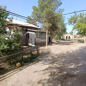 Şatlyk jay