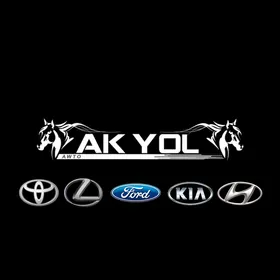 HYUNDAI KIA MORDA