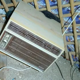 kansaner haladılnık