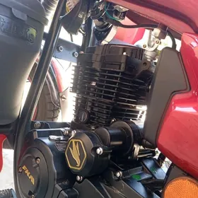 Fekon FK150-8G 2025