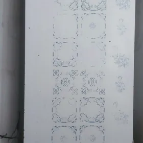 Bryusa 6