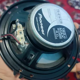 pioneer kalonka