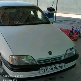 Opel Omega 1991