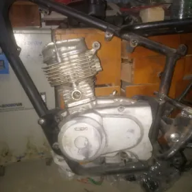 Fekon 125