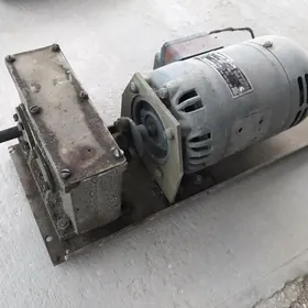 motor reduktor