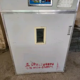 инкубатор