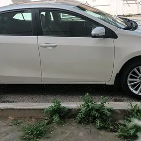 Toyota Corolla 2019