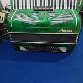 Аккордеон Akkordeon