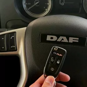 DAF 480 2020