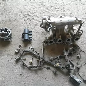 Astraji model