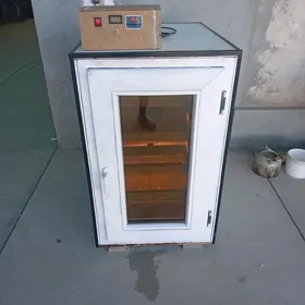inkubator