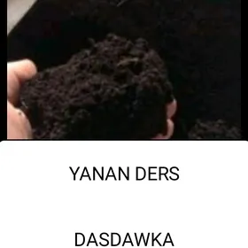 elenen ders gum навоз дерц гум