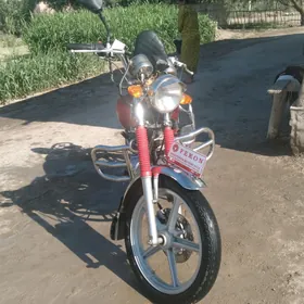 Fekon FK150-8G 2013