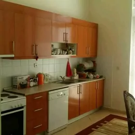 taslama gogul aljak 1 komnat