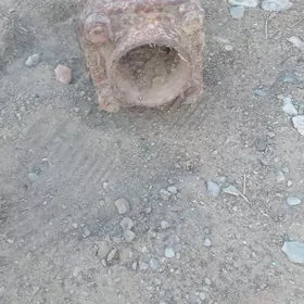 nasos