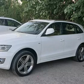 Audi Q5 2010