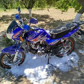 Fekon FK150-8G 2013