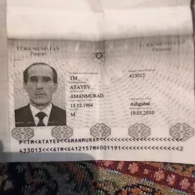 yiten tek pasport
