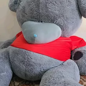 Teddy 🧸