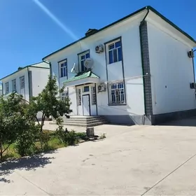 Taze zaman kotej
