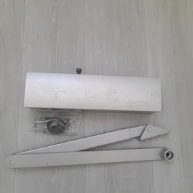 davodcyk