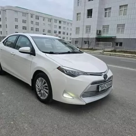 Toyota Corolla 2019