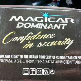 Magicar 906