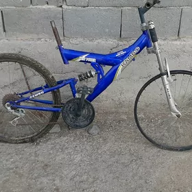 tigirler zapjaslar