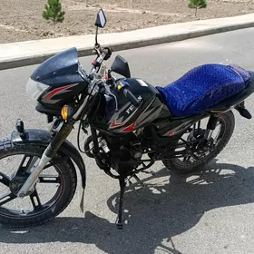 Fekon FK200-14G 2013
