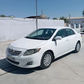 Toyota Corolla 2010