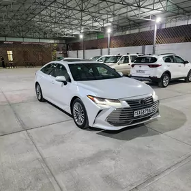 Toyota Avalon 2019